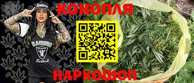 молекула духа Камышлов