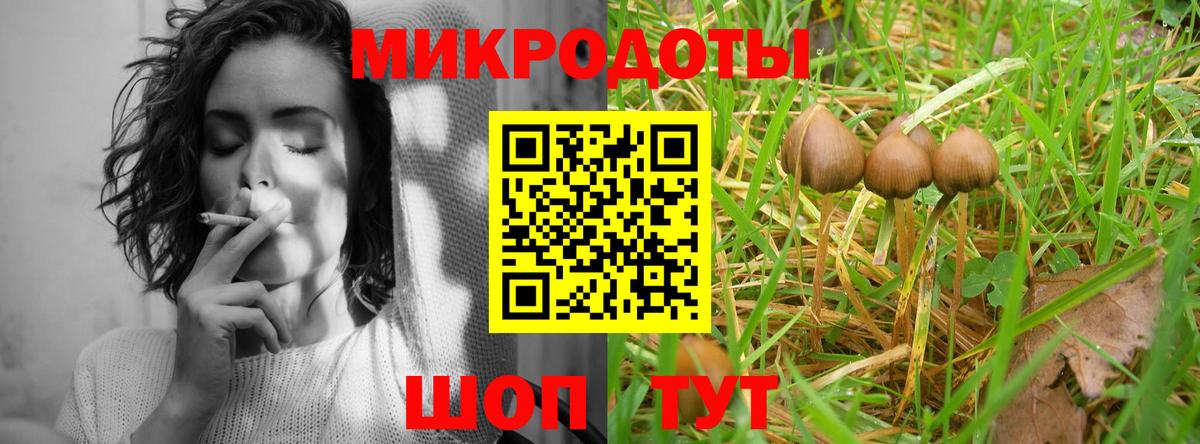 Галлюциногенные грибы GOLDEN TEACHER Ялуторовск